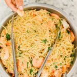 Shrimp alfredo pasta